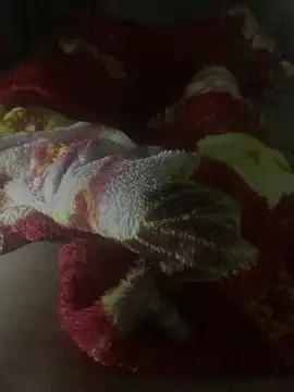 gaabpxn online show from April 2026 03:44:02 AM