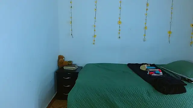 Snapshot of sajecrismaa chatting on February 2026 04:47:02 PM sajecrismaa online show from February 2026 04:47:02 PM