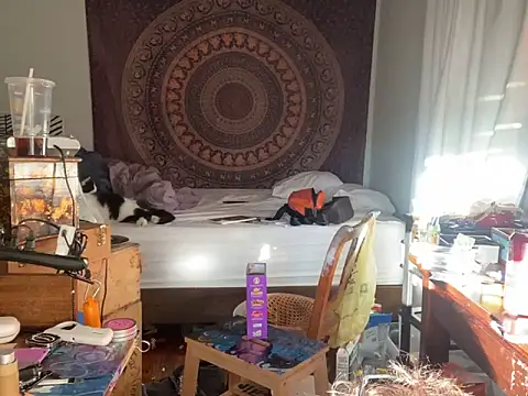 Snapshot of XanderOzzz chatting on November 2025 09:48:02 PM XanderOzzz online show from November 2025 09:48:02 PM