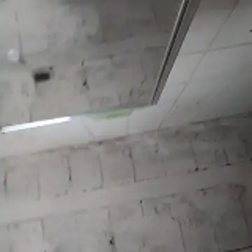 rodrigohuge online show from November 2025 12:39:02 PM