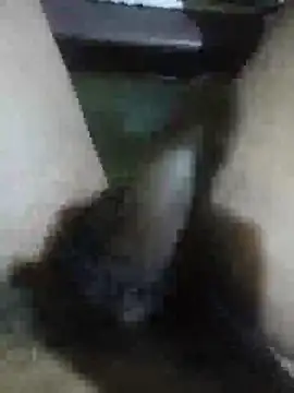 Vizgeboys online show from February 2026 09:43:02 AM