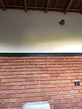 Dunot   online show from December 2025 09:16:02 AM