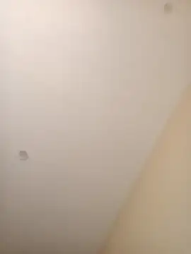 ElBufalo4l online show from November 2025 01:21:02 PM