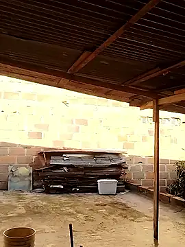 hoteder online show from January 2026 12:29:01 PM