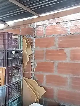 hoteder online show from January 2026 01:05:02 PM