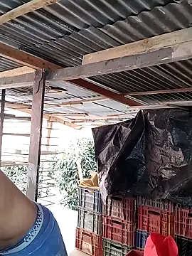 hoteder online show from February 2026 01:53:02 PM