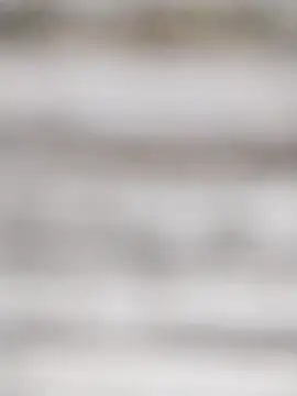 Snapshot of SweetSun69 chatting on February 2026 11:20:01 AM SweetSun69 online show from February 2026 11:20:01 AM