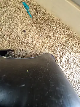 EsDezz88 online show from March 2026 08:23:02 PM