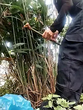 linda bae00 online show from October 2025 01:55:02 AM