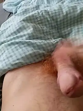 bodrika online show from February 2026 02:57:01 PM