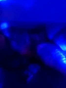 Snapshot of senacansu chatting on October 2025 02:50:02 AM senacansu online show from October 2025 02:50:02 AM