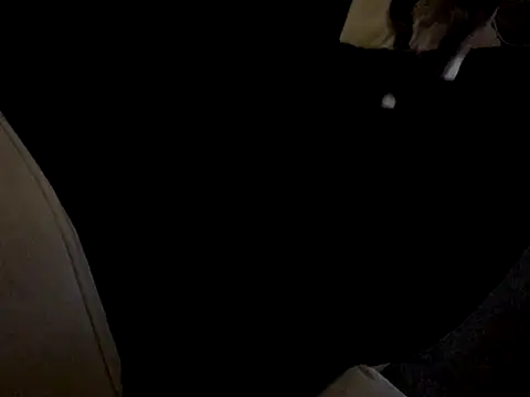 Snapshot of DoMeGood1296 chatting on November 2025 11:59:01 PM DoMeGood1296 online show from November 2025 11:59:01 PM