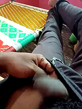 dolphiinn online show from November 2025 04:25:01 AM