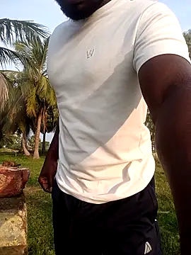 dolphiinn online show from March 2026 01:38:01 AM