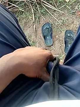 dolphiinn online show from April 2026 01:20:02 AM