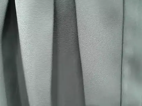 Snapshot of _Lady- chatting on November 2025 08:41:02 PM Lady- online show from November 2025 08:41:02 PM