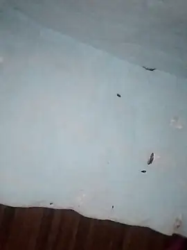 Snapshot of Rakhi_j chatting on February 2026 02:21:02 AM Rakhi j online show from February 2026 02:21:02 AM