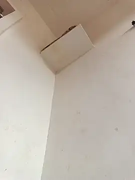 Snapshot of Dikchahot chatting on November 2025 10:26:01 AM Dikchahot online show from November 2025 10:26:01 AM