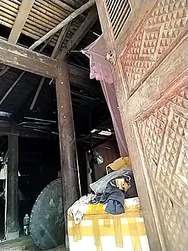 venu00 online show from October 2025 04:33:01 AM