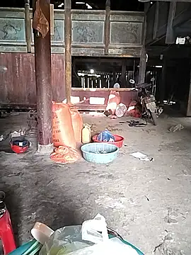 venu00 online show from December 2025 03:01:01 AM