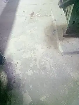 boyraj28 online show from February 2026 07:50:02 PM