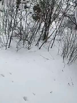 desiredude9 online show from January 2026 08:18:02 AM