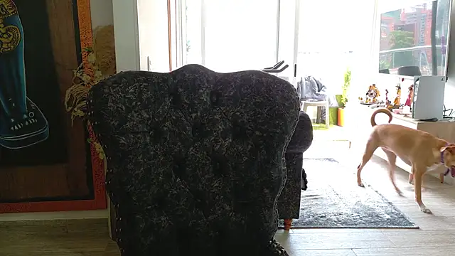 Snapshot of Sarahlove_90 chatting on October 2025 06:03:02 PM Sarahlove 90 online show from October 2025 06:03:02 PM