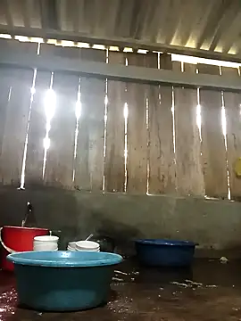 Ngocmi909 online show from November 2025 01:22:01 AM