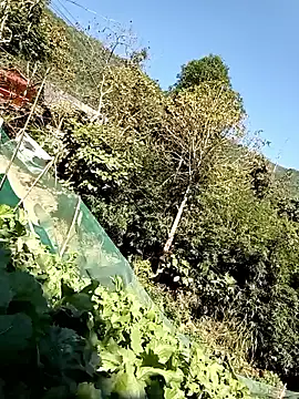 Maymay0033 online show from November 2025 04:59:02 AM