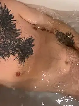 Rimvideo online show from February 2026 11:38:01 PM