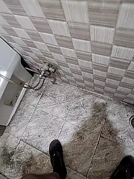 vers negi9 online show from February 2026 02:49:02 PM