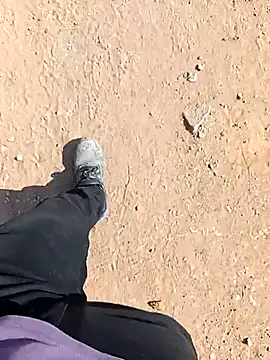 king godgm online show from March 2026 03:45:02 AM