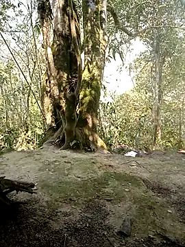 rubi bae online show from April 2026 02:45:01 AM