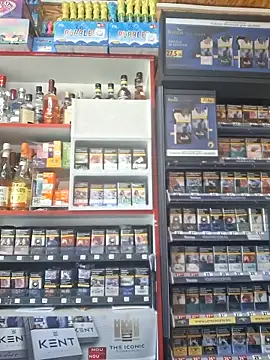 Fluturas2 online show from September 2025 08:47:01 AM