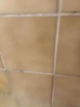 escobryuf online show from January 2026 12:30:01 PM