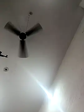 Appypie online show from October 2025 06:04:02 AM