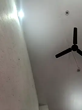 Appypie online show from October 2025 05:53:02 AM