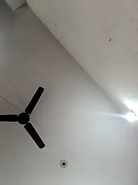 Appypie online show from November 2025 06:13:02 AM