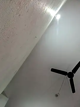 Appypie online show from November 2025 05:51:02 AM