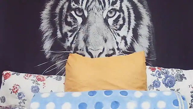 SweetPortableAmber online show from March 2026 11:35:01 AM