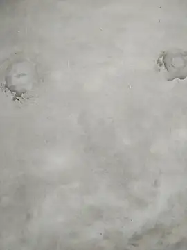 kute-00 online show from February 2026 01:53:02 AM