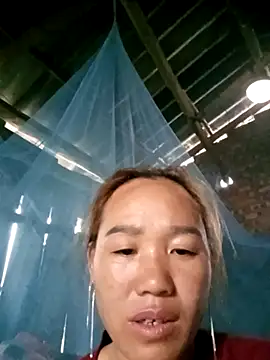 bing-bing88 online show from November 2025 02:11:02 AM