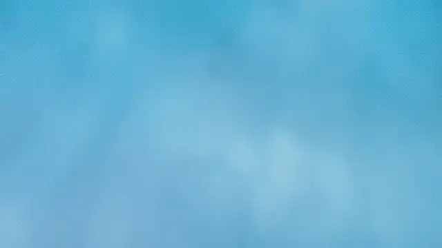 amy greene online show from March 2026 11:49:01 AM