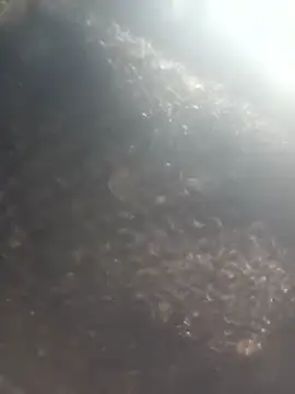 Hot era online show from January 2026 07:10:02 AM