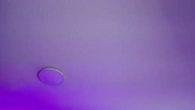  Charlotte Collins  online show from February 2026 03:13:02 PM