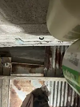 SaraBust online show from April 2026 04:24:02 AM