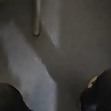 stunning stallion online show from October 2025 09:35:02 PM