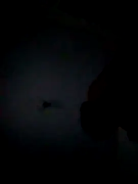 Snapshot of Ramirez4209 chatting on November 2025 08:14:01 AM Ramirez4209 online show from November 2025 08:14:01 AM