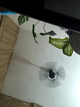 Spoorthi6 Kannada Telugu online show from March 2026 04:33:01 PM