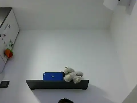 Snapshot of IMGTomi chatting on June 2026 03:42:01 AM IMGTomi online show from June 2026 03:42:01 AM